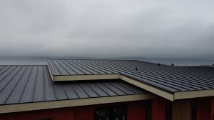 Best Hot Roofs  in Elkins, AR